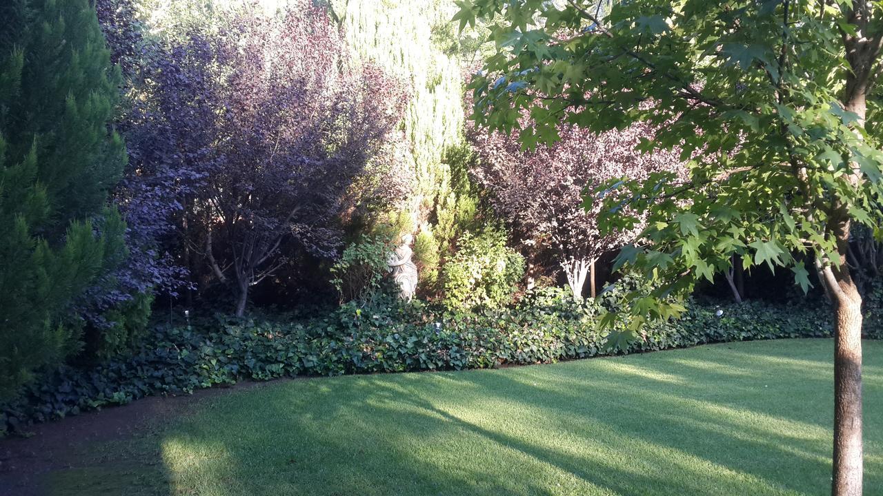 Giardino A 194 Bed and Breakfast Welkom Exteriör bild